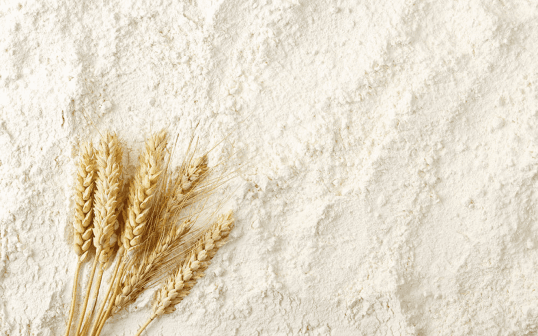 Utah Flour Milling breaks ground on new mill